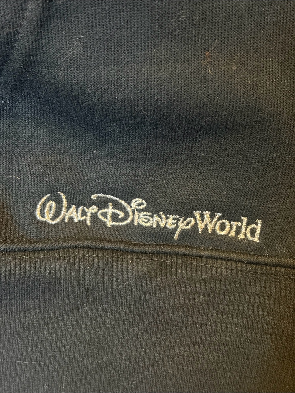 Walt Disney World Parks Plaid Lined Hoodie in Navy - Spot by Pocket - Picture 4 of 6